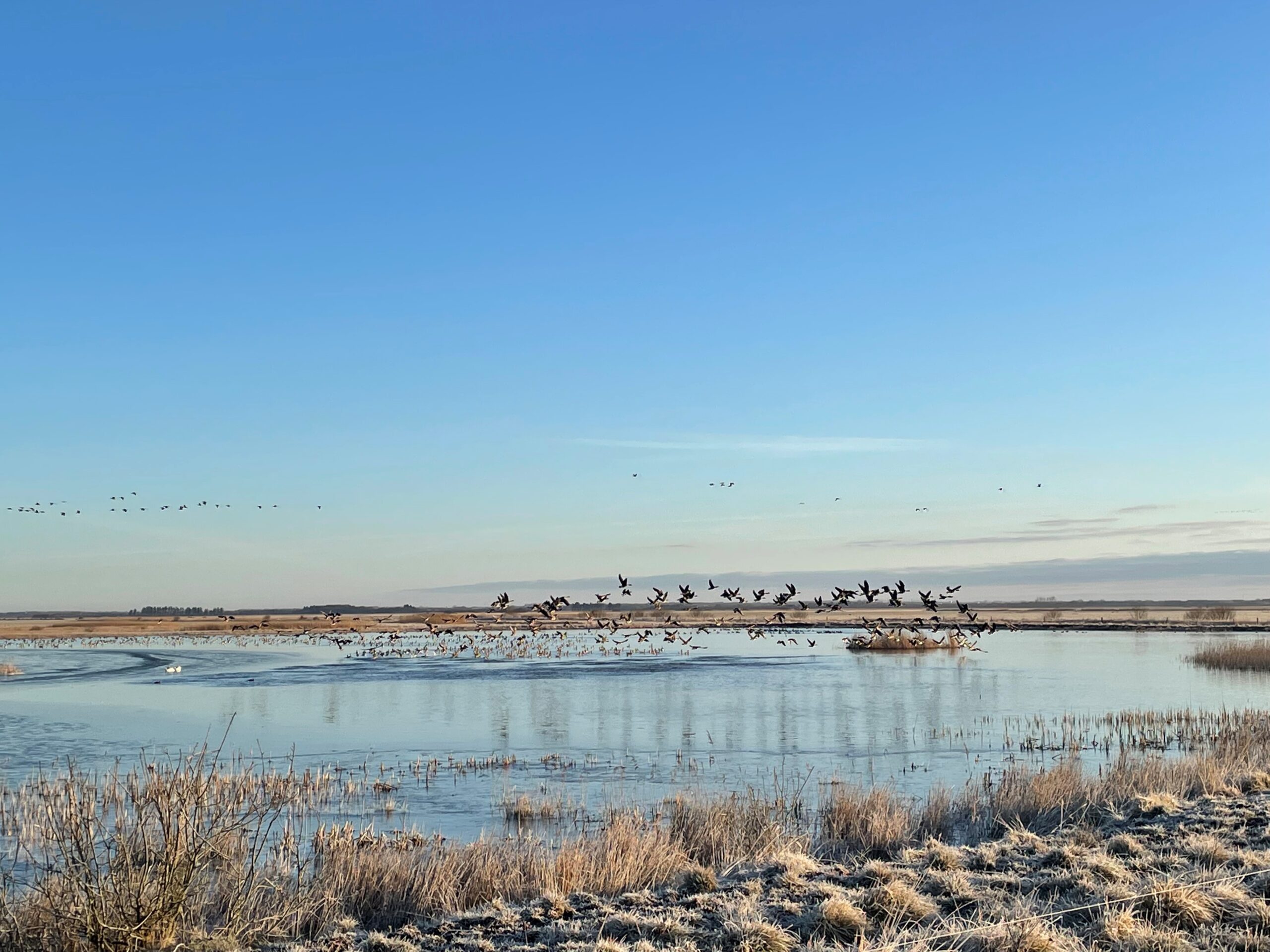 natur ved kammerslusen anders rohr